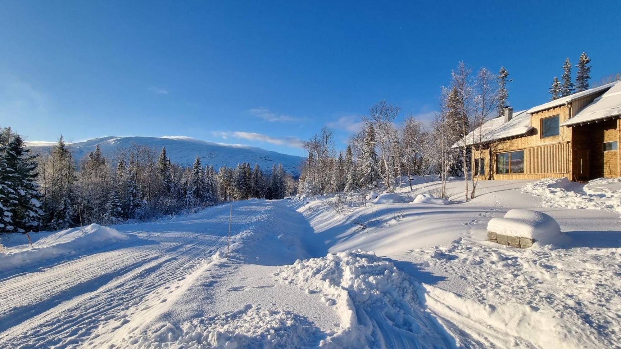 Mountain Holiday Homes - Ottsjoe, Trillevallen -Sweden Are Room photo